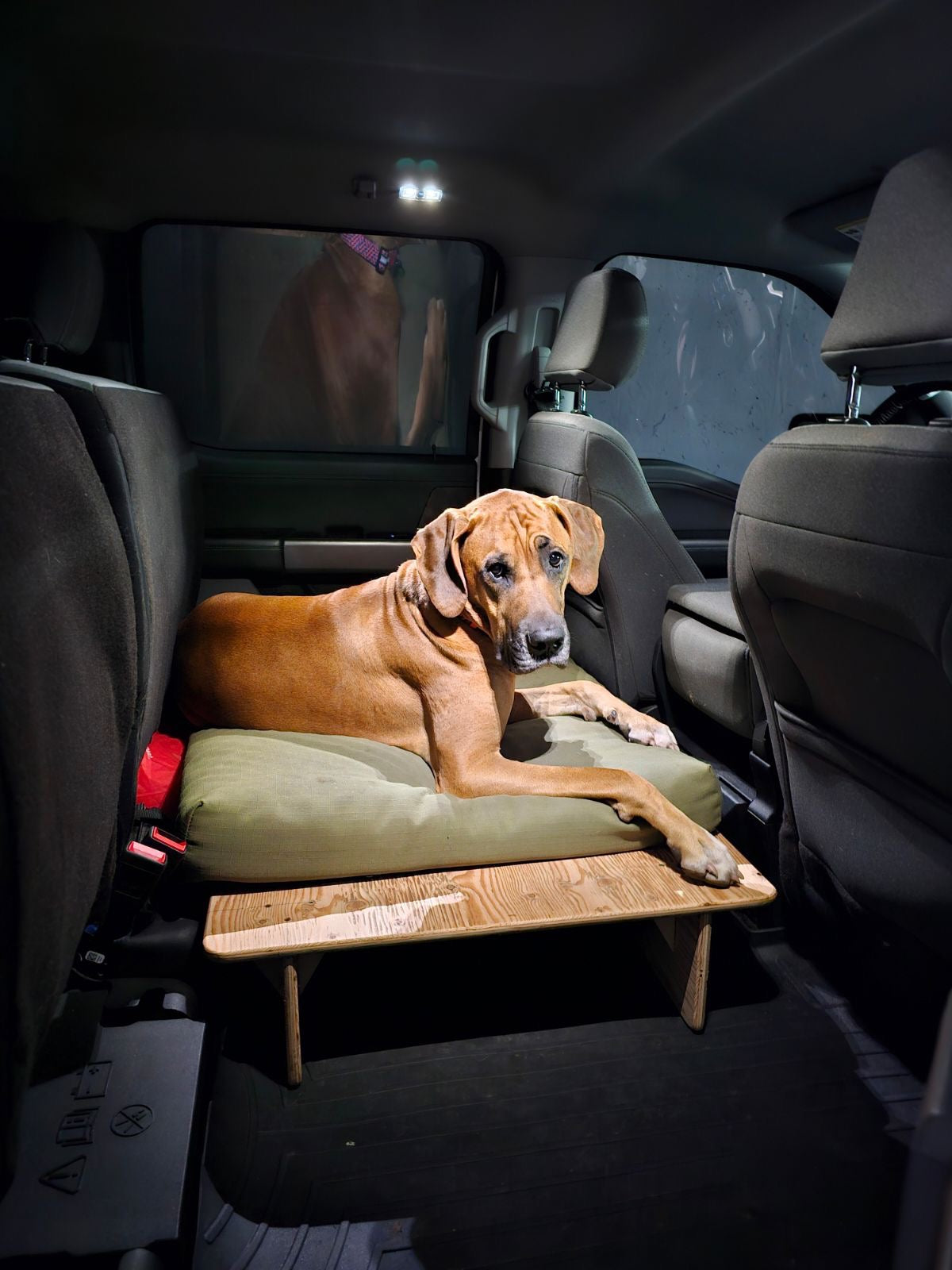 Dog Booster Seat